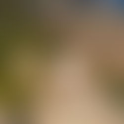 A geração mais conectada do mundo está buscando silêncio na natureza