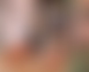 Festival de Primavera leva música, arte e diversão gratuitas ao Passeio Primavera