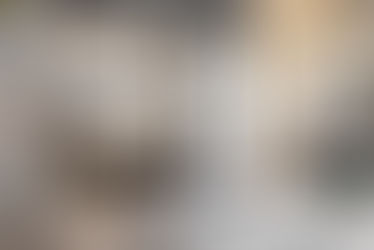 Loft: conforto, conexão e modernidade em um só ambiente