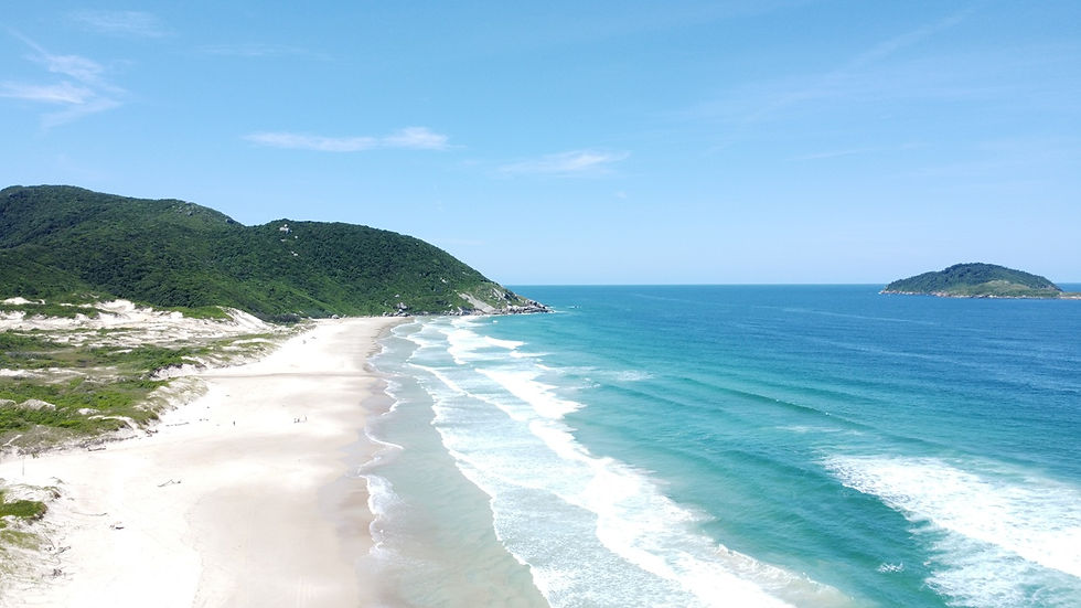 Primeiro encontro nacional das Reservas de Surf ocorre em Florianópolis