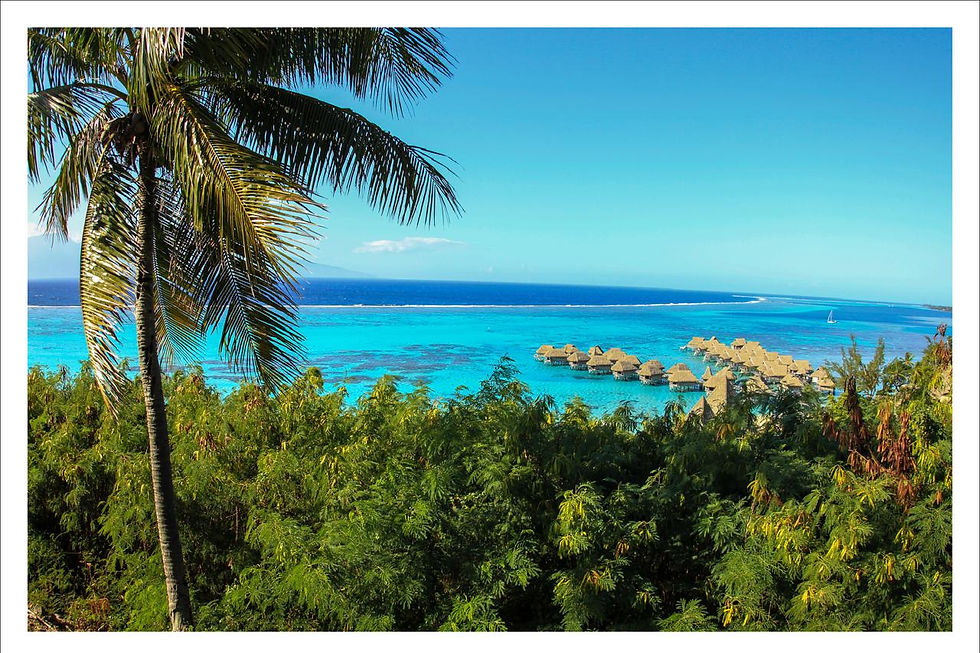 Documentários celebram natureza, cultura e memória da Ilha de Santa Catarina