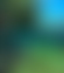 Abeta apresenta novidades do Programa Aventura Segura durante o maior evento de turismo e viagens da América Latina