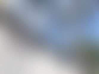 Maior crescimento desde 2007: vendas de veículos novos sobem 15% em 2024