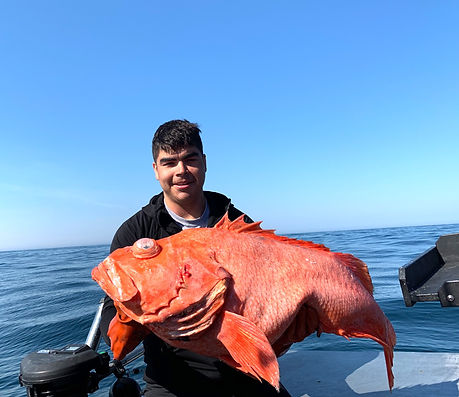 sitka rockfish