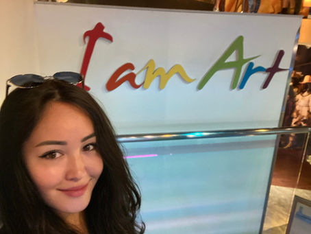 What is a Dutch Artist Visa for Expats? 