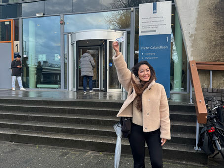 A Comprehensive Guide to the Self Employment Visa for Foreigners in the Netherlands