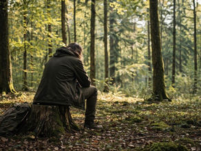 Person sitzt allein im Wald auf einem Baumstumpf und schaut ruhig in den Wald