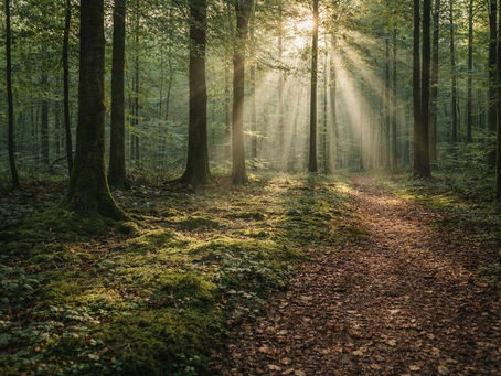 Was passiert bei einer schamanischen Sitzung wirklich? Einfach erklärt.