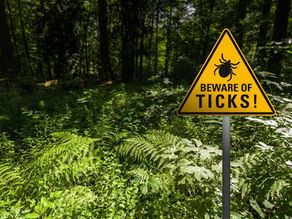 Dickicht mit einem Warnschild vor Zecken.