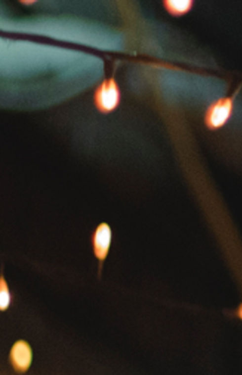 Twinkly Lights