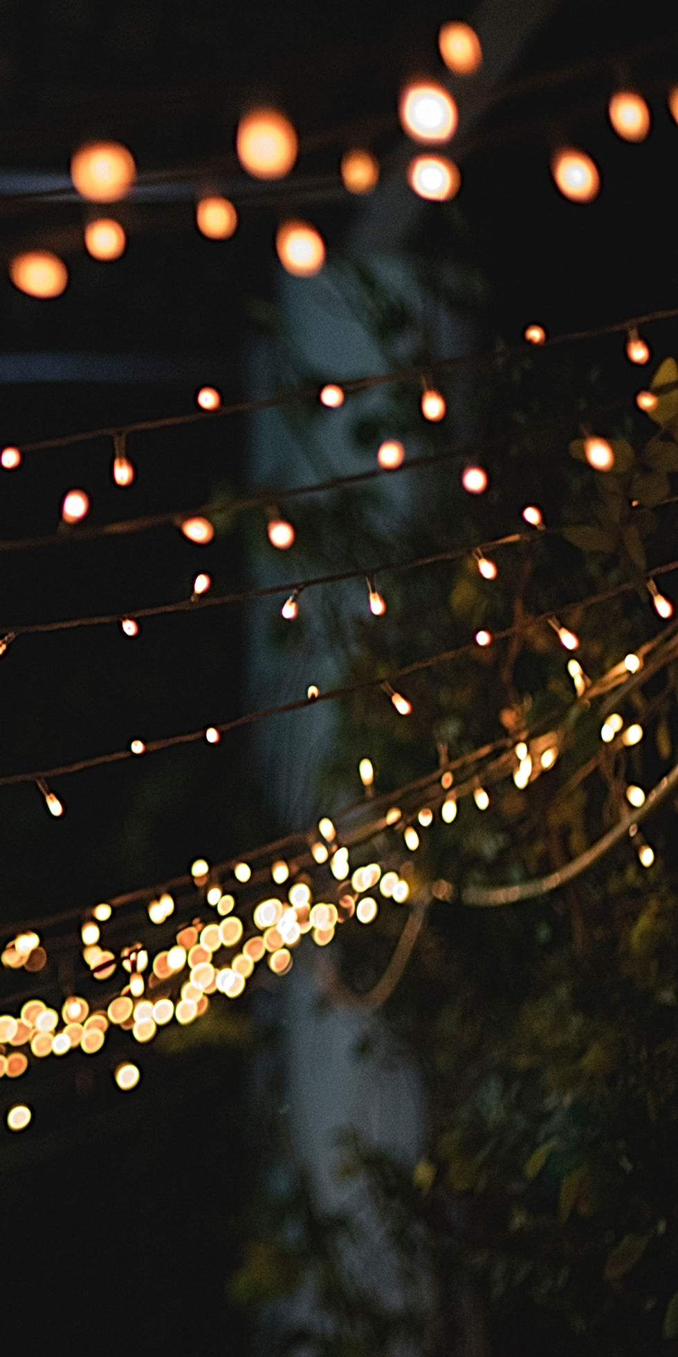 Twinkly Lights
