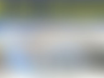 New options on GST Portal From January 2024