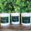 Thumbnail: Three Jamaica Me Lit candles by Illuma Candles