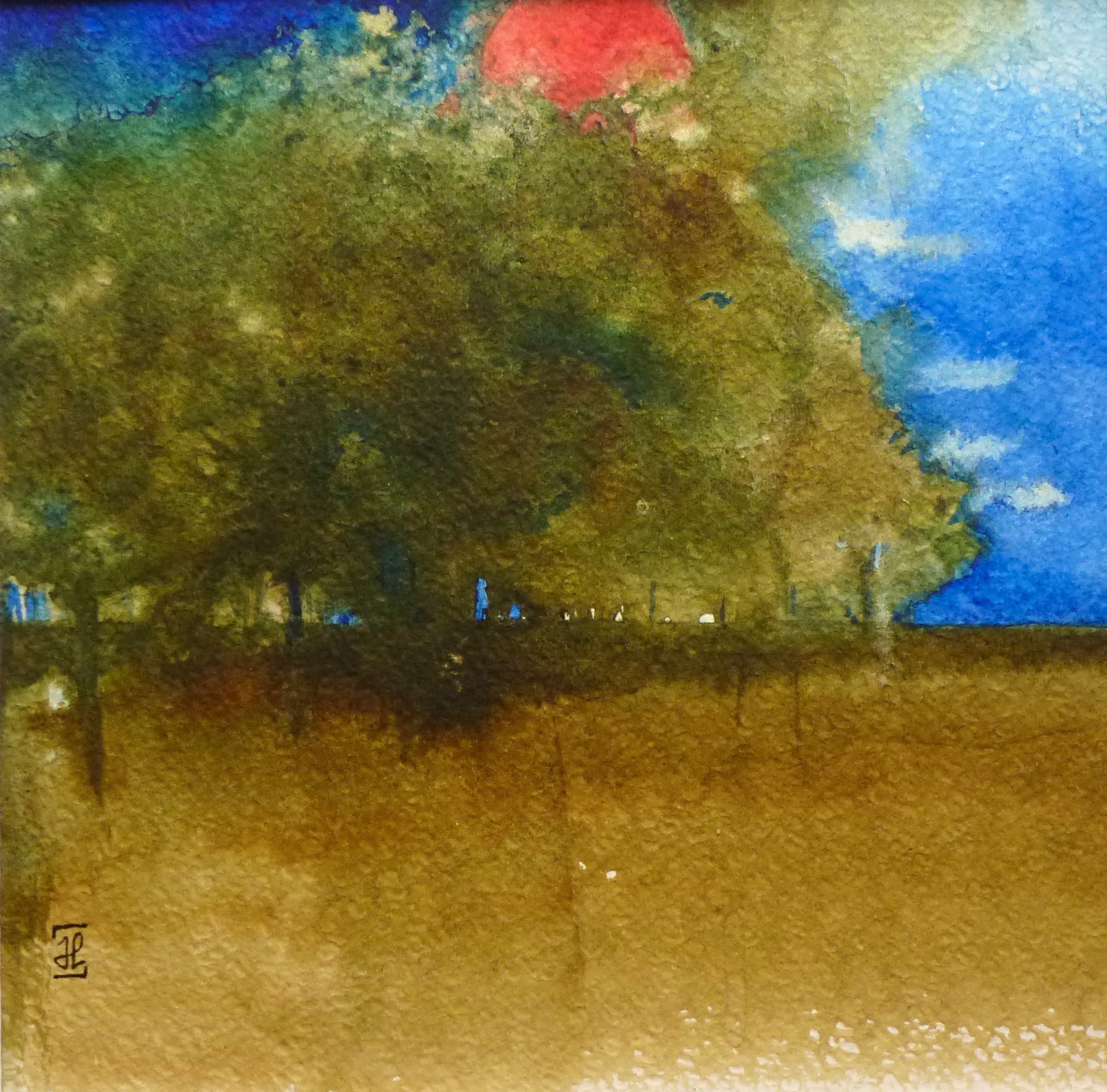 Forêt le soir
