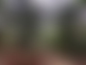 Rajalaxmi - February 4th 2020 - Standing Poses