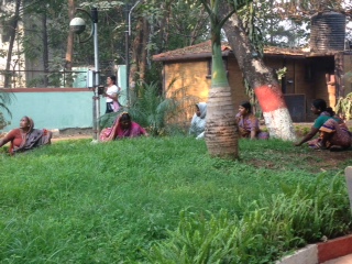 morning park