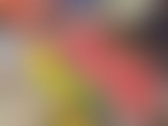 Day 23 - Rajalaxmi Dog Pose, Dog Pose and more Dog Pose