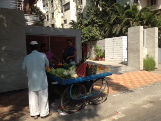 veg barrow