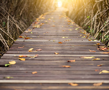 wooden walkway closeup to light.jpg