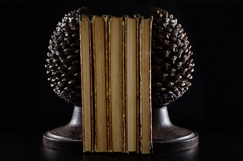 pinecone bookends AdobeStock_343216578 (1).jpeg