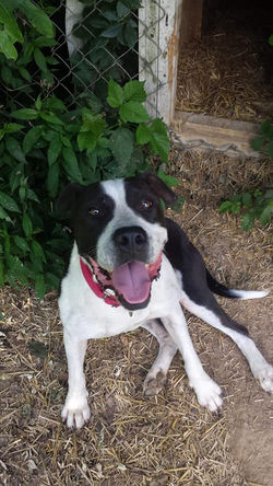 65569491_334264967496251_514011803265531