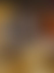 CANNES 2017 - Sélection Officielle - Un Certain Regard