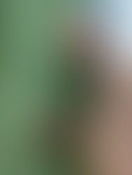 Cannes 2018 - La Quinzaine des Réalisateurs