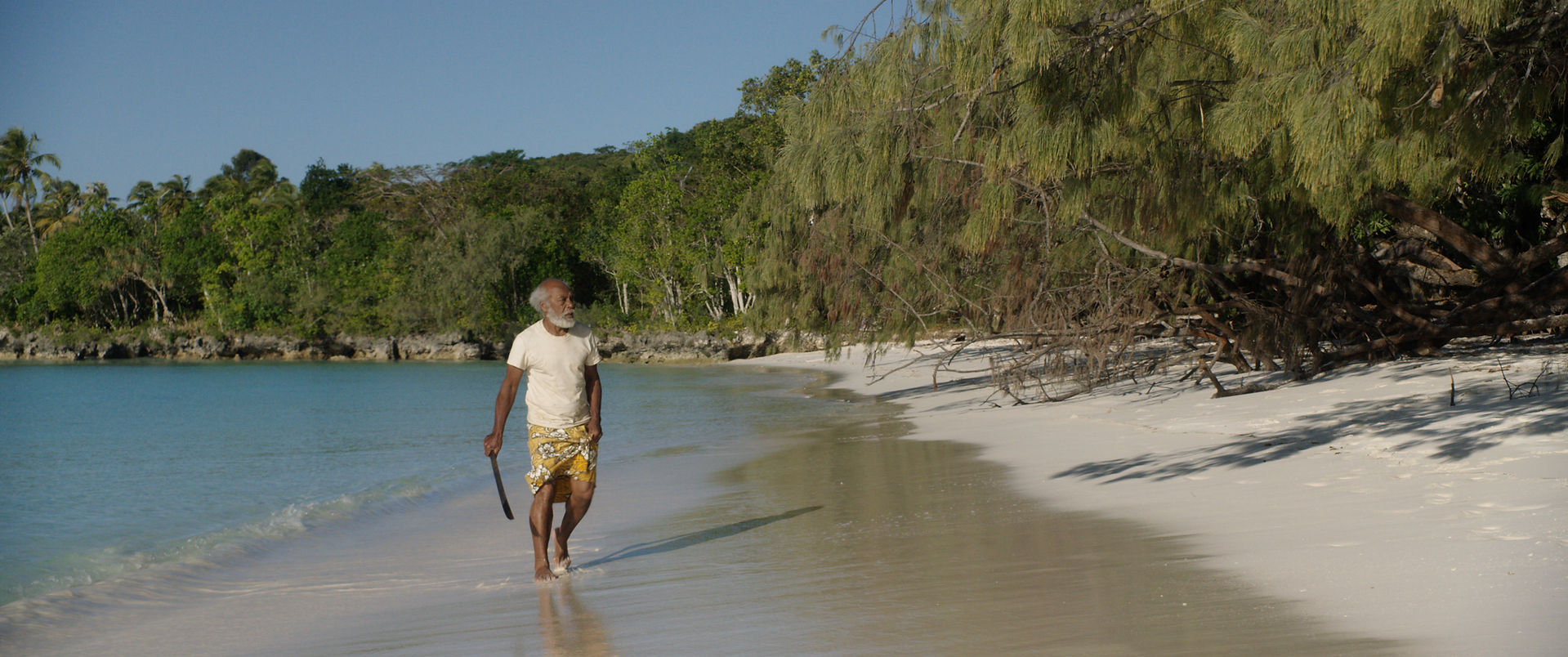 L'Arbre et La Pirogue