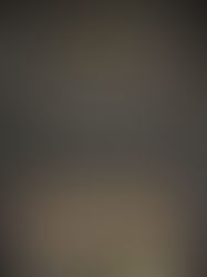 Festival du Court Métrage de Clermont-Ferrand 2020