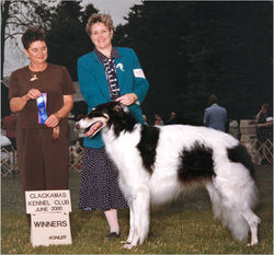 CH Nonsuch Revere's Ride