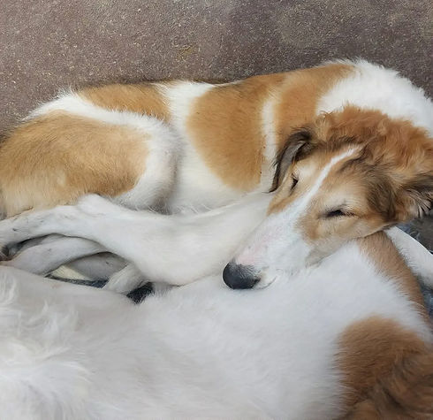 c5aec29b-a060-4bf9-9016-387ef609b0a7.jfif