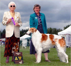 CH Cernak's Sedona Wind