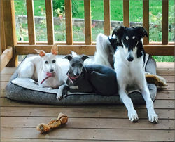 Kazan and his IG sisters