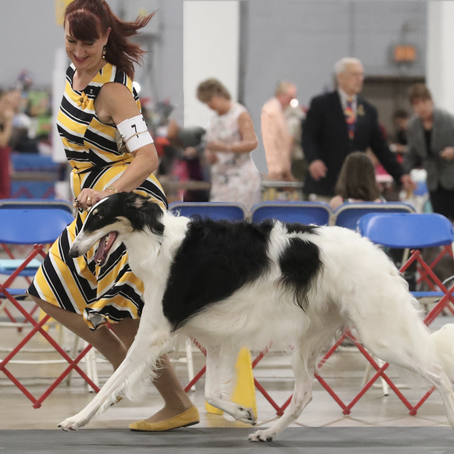 Maksi RWD 4 and 5 Point Majors!