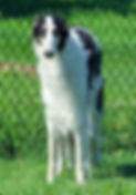 MRRFront3_edited_edited.jpg