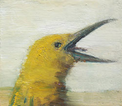 Desert Bird (III)