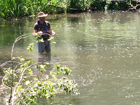 Alex fishing at 14 hatches on Thursday..