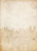 paper texture trees.jpg