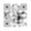 qrcode (1).png