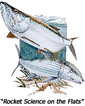 btcrc_logo.gif