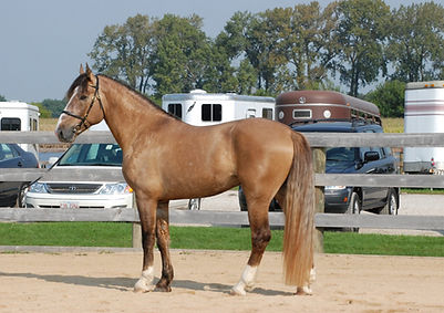 Regalia Prince Arthur