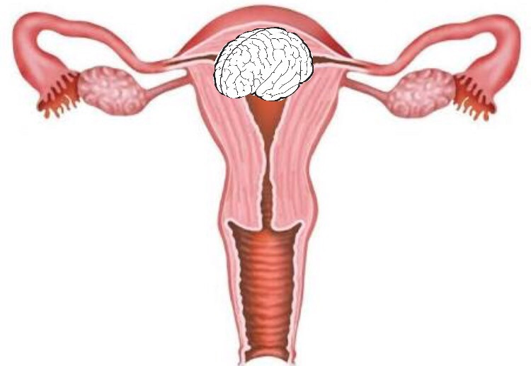 epilepsia catamenial