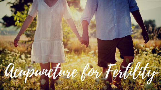 Why I Recommend Acupuncture For All Infertility Patients
