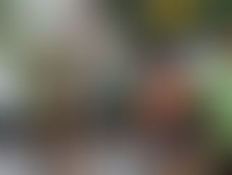 Looking Forward To A Great Year of Racing!