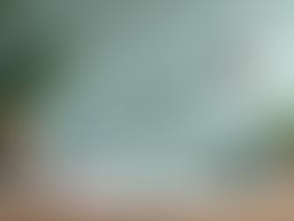 The Importance of Maintaining a Clean Workplace