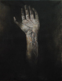 studio di mano, olio su tela 2017