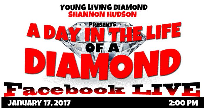 A Day In The Life of a Diamond