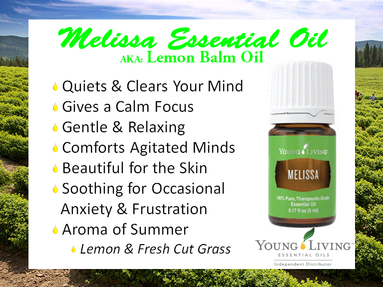 Melissa Essential Oil