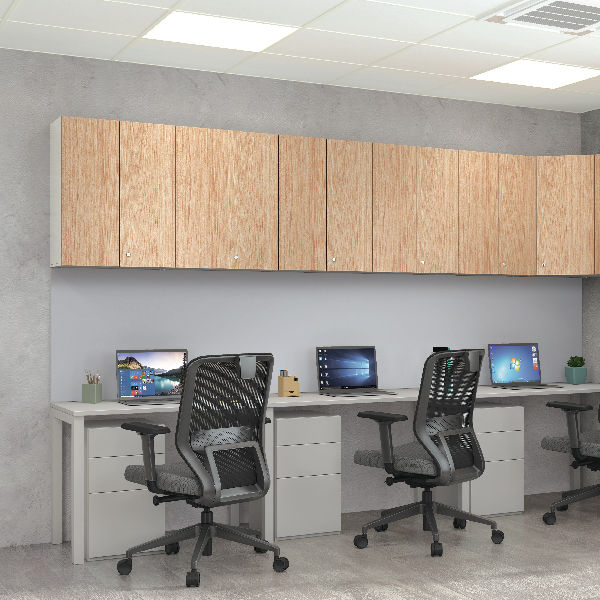 Thumbnail: Godrej Ascend Wall Mounted Storage