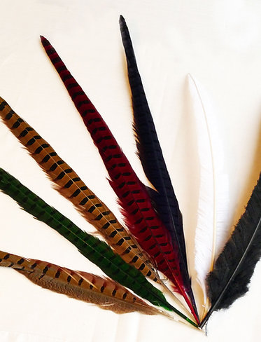 Accents Feather - English Pheasant (Natural)